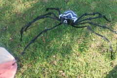 IMG_20250430_083102645