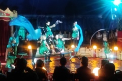 IMG_20250528_112259340