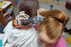 IMG-20250129-WA0001