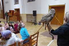 IMG-20250319-WA0001