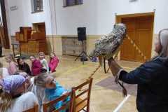 IMG-20250319-WA0003