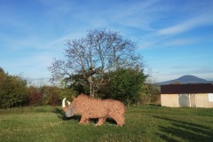 IMG_20251014_092949410