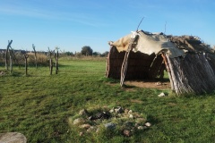 IMG_20251014_092954949