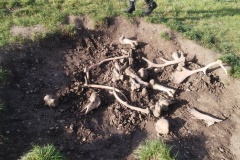 IMG_20251014_093743227