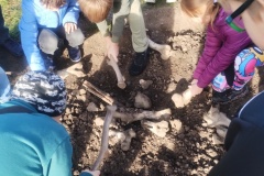 IMG_20251014_093905586