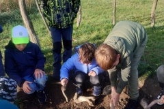 IMG_20251014_093916637_HDR