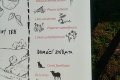 IMG_20251014_095851492_HDR