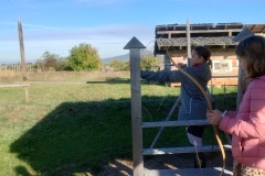 IMG_20251014_101034071_HDR