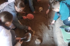 IMG_20251014_103014519