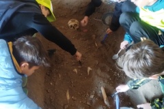 IMG_20251014_103030757