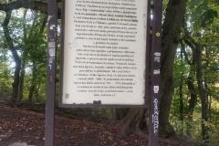 IMG_20251014_132138775