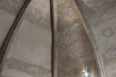 IMG_20250416_102751223