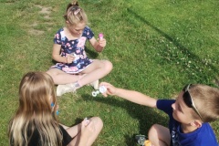 IMG_20240627_094657891