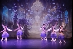 IMG_20251204_114146581