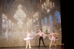 IMG_20251204_115642946