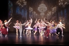 IMG_20251204_115744868