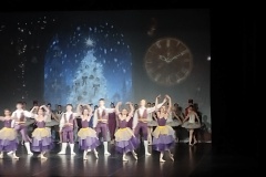 IMG_20251204_120026622