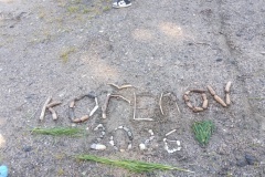 IMG_20260619_094508248