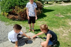 IMG_20240606_122230717_HDR