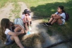 IMG_20250626_094555115