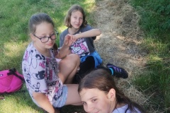 IMG_20250626_094607408