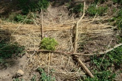 IMG_20250626_102237039_HDR