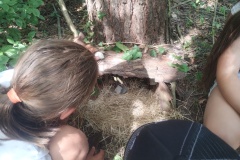 IMG_20250626_102646043