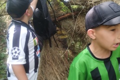 IMG_20250626_102720838