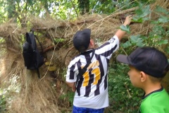 IMG_20250626_102745146