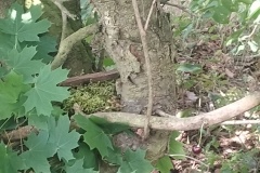 IMG_20250626_103915046