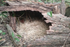 IMG_20250626_104139528