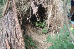 IMG_20250626_104301228