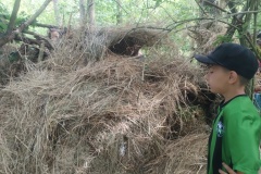 IMG_20250626_104337645