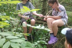 IMG_20250626_104601272