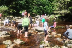 IMG_20260616_113232281