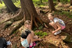 IMG-20240618-WA0008
