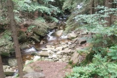 IMG_20260618_100727722