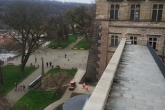 IMG_20260330_115927590