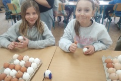 IMG_20260331_081559122