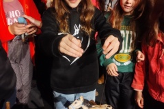 IMG_20241119_105210341