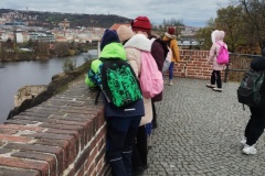 IMG_20241119_112206741