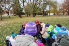IMG_20241119_114454330