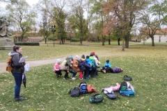 IMG_20241119_114548369