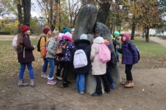 IMG_20241119_124558075