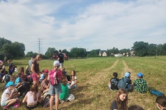 IMG_20260623_084955954